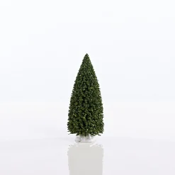 Bristle Tree Asst (14Cm) - Natural