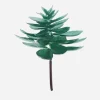 Cactus Green Plated Succulent