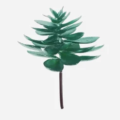 Cactus Green Plated Succulent