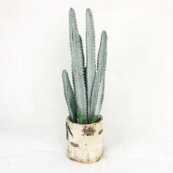 Cactus In White Ceramic Pot (60Cm)