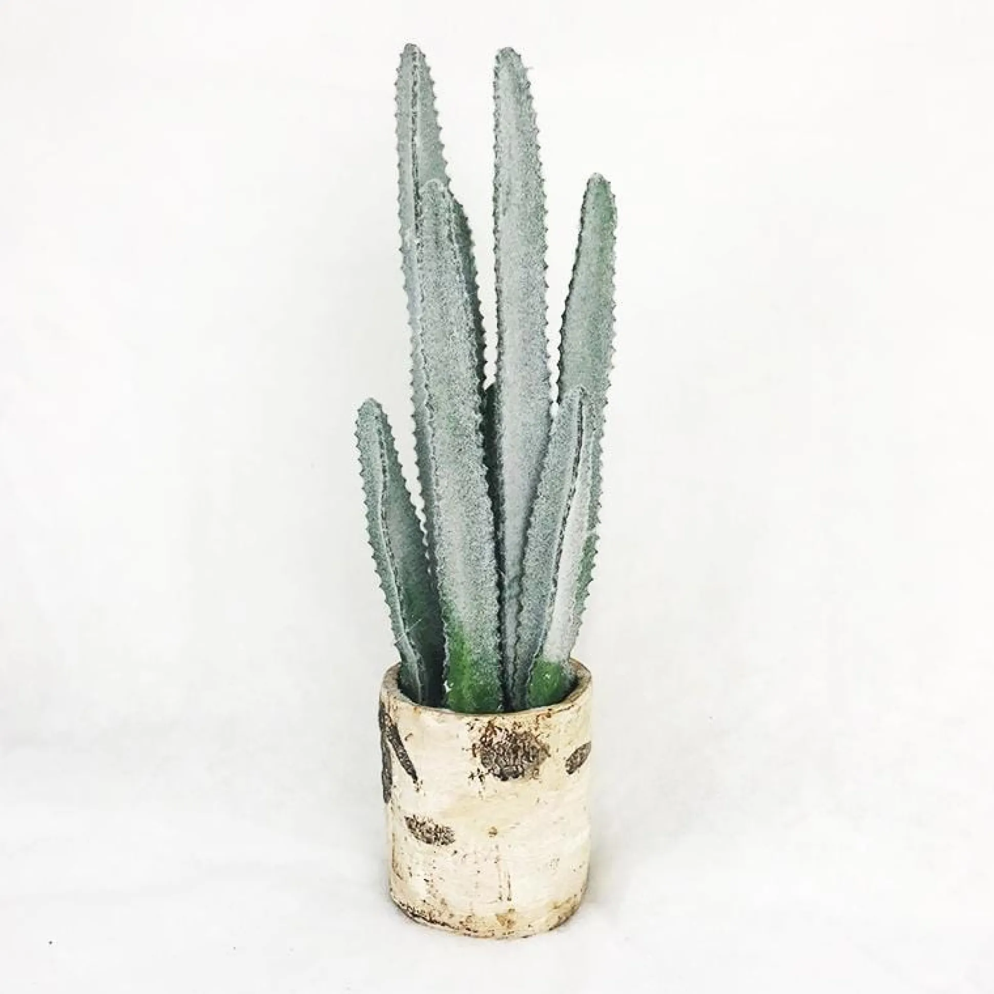 Cactus In White Ceramic Pot (60Cm)