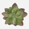 Cactus Succulent Clip Green/Silver Lrg
