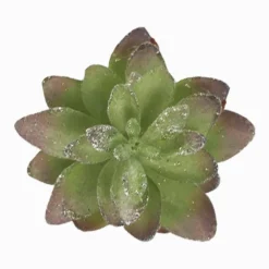 Cactus Succulent Clip Green/Silver Lrg