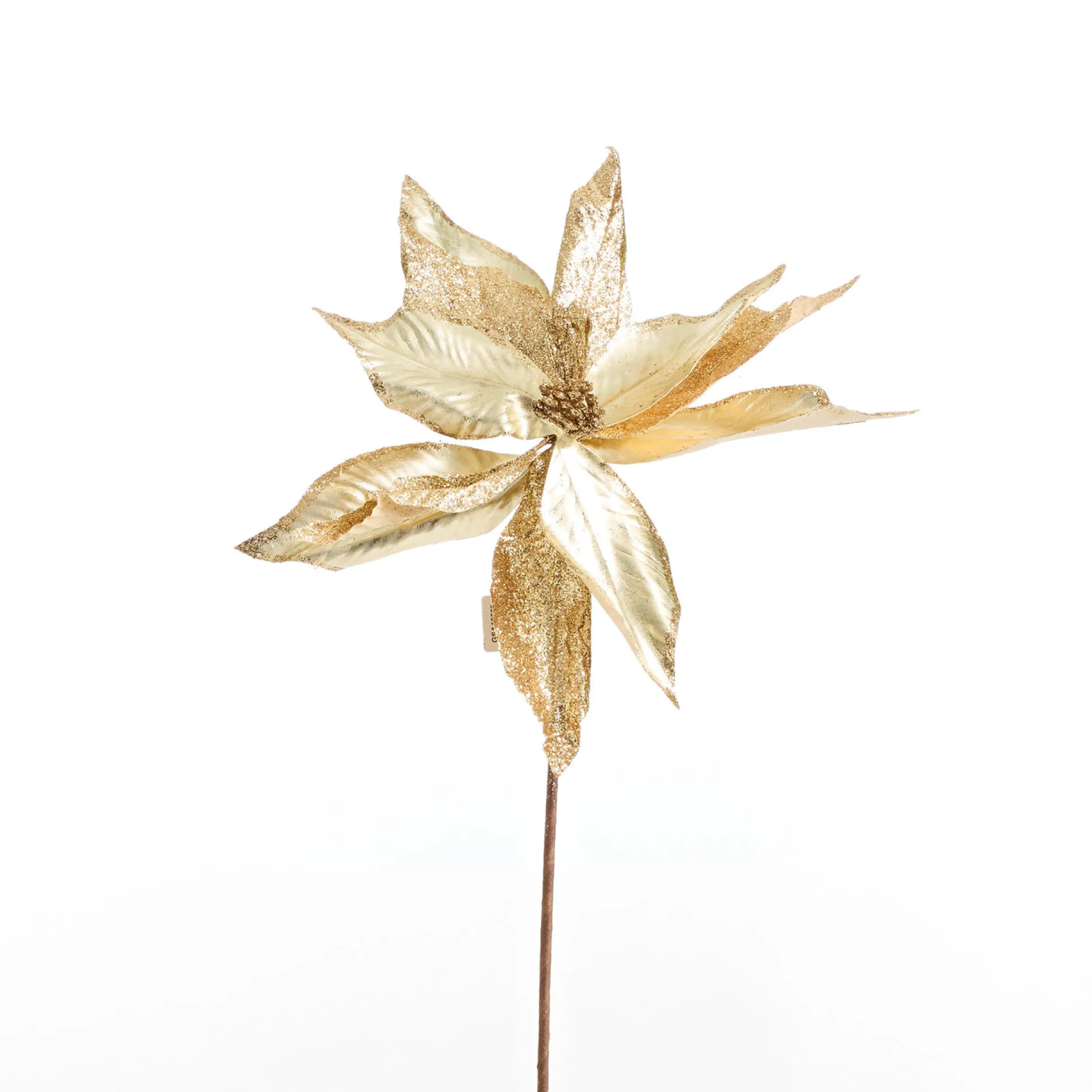 Champagne Poinsettia Stems (45Cm)