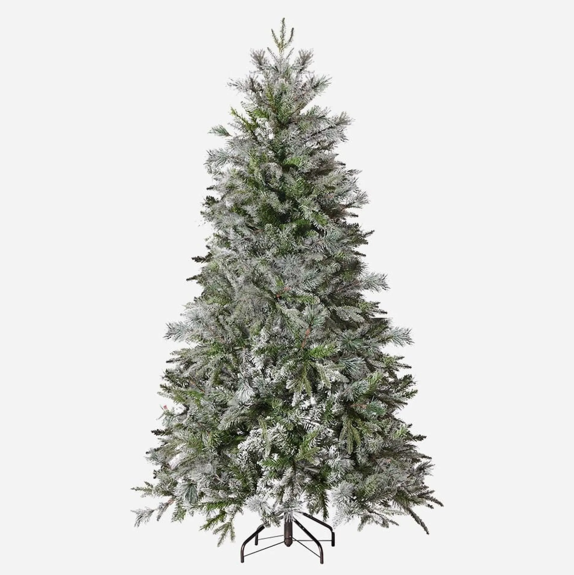 Fraser Fir Tree 6Ft (1.8M)