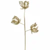 Gold Queen Anne'S Lace Stem (65Cm)