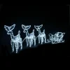 Led 3D Three Reindeers With Sleigh (3.35M)