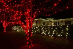 Led Fairy Lights Red (20M)