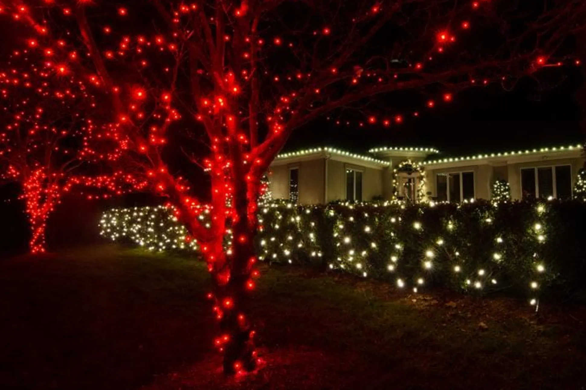 Led Fairy Lights Red (20M)