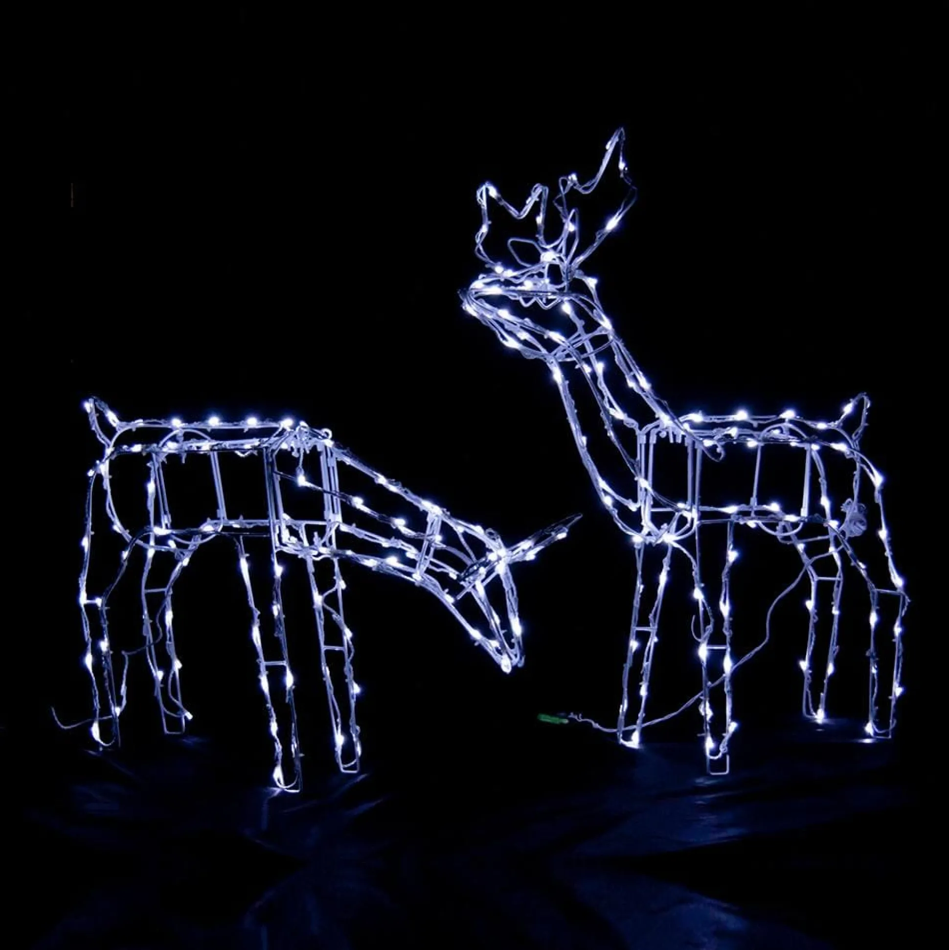 Led Solar Standing Or Feeding Reindeer - Feeding