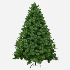 Natural Royal Pine Tree 8Ft/2.4M