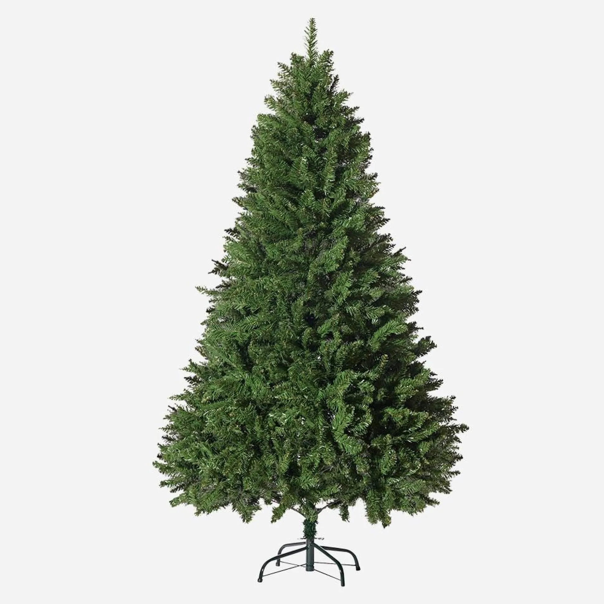 Radiata Pine 6Ft (1.8M)