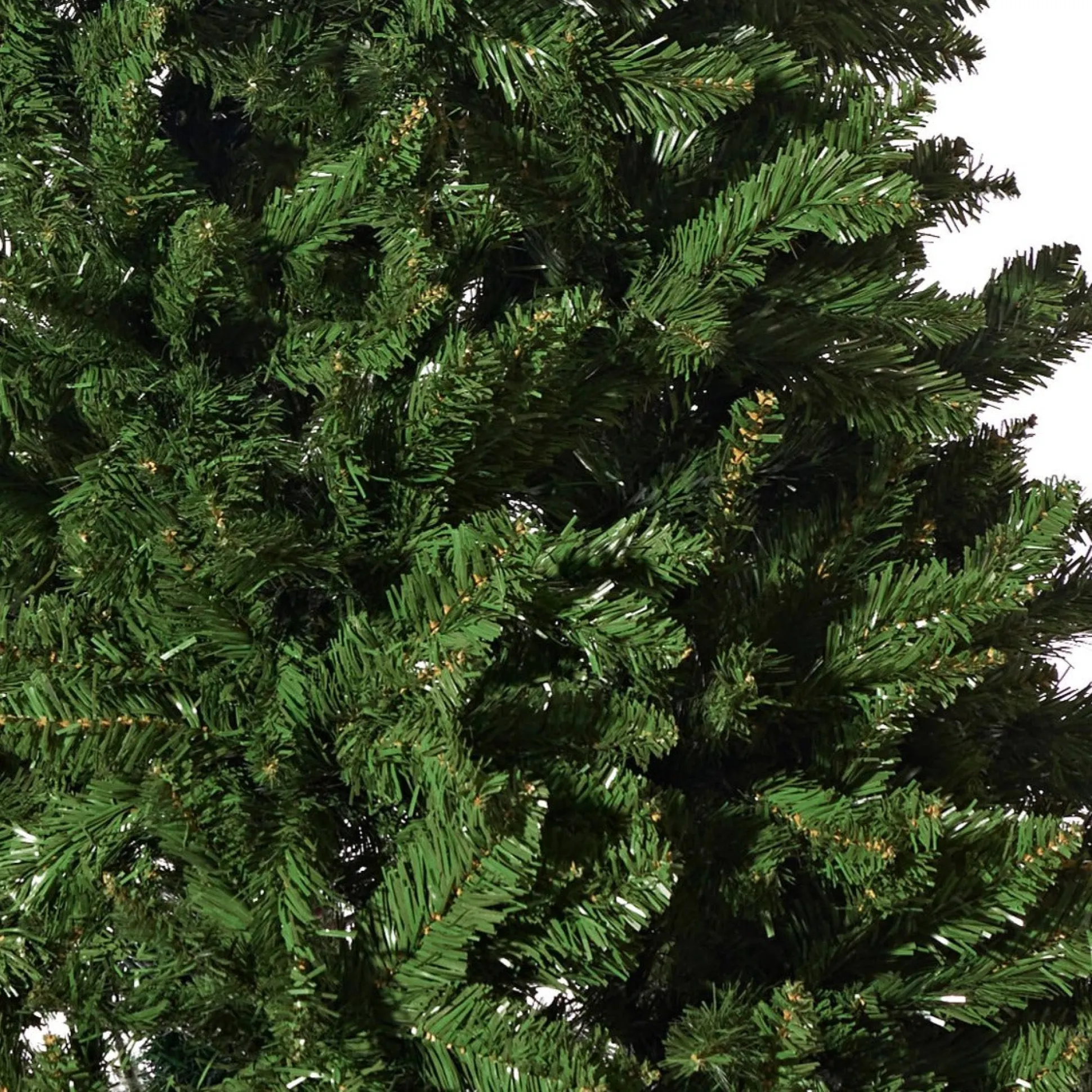 Radiata Pine 6Ft (1.8M)