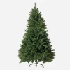 Radiata Pine Tree 5Ft (1.5M)