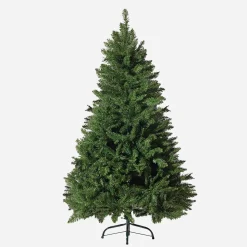 Radiata Pine Tree 5Ft (1.5M)