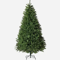 Radiata Pine Tree 7Ft (2.1M)