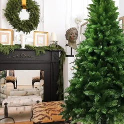 Radiata Pine Tree 7Ft (2.1M)