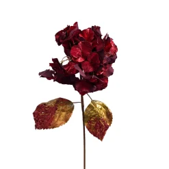 Red Hydrangea Stem