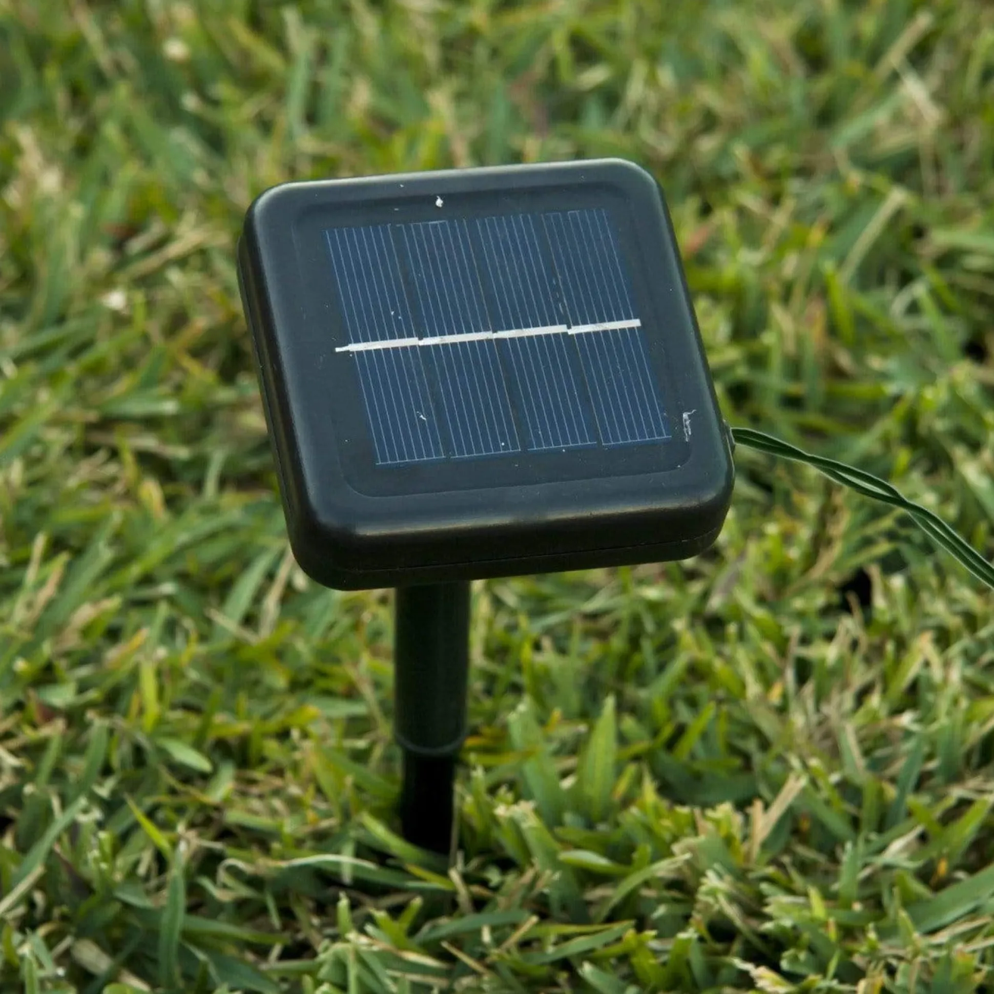Solar Mini Path Trees (10Pcs)